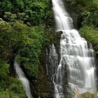 破碎的动物图形2