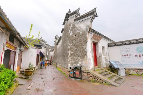 失忆的流浪者